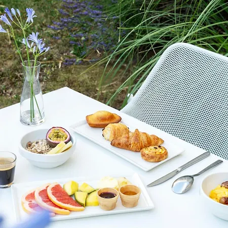 酒店 南希中心诺富特套房酒店