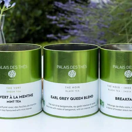 Novotel Centre Hotel Nancy