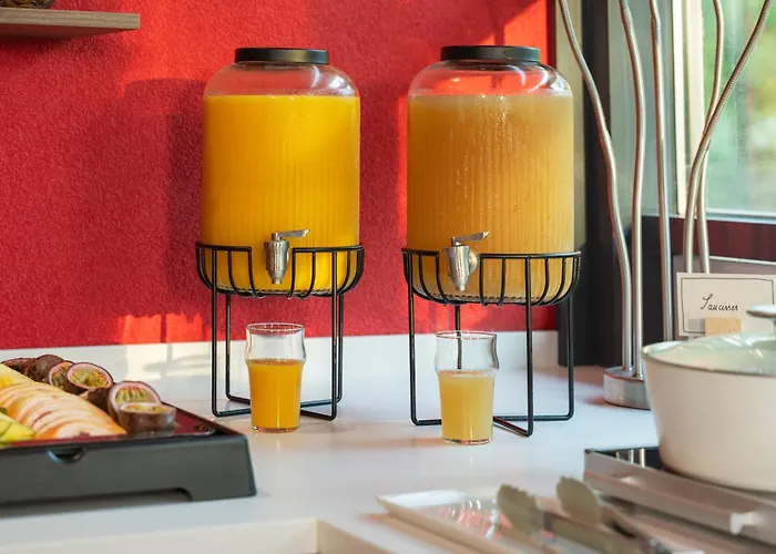 فندق أجنحة نوفوتيل Centre نانسي