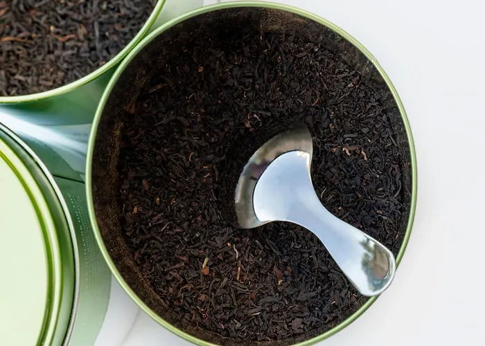 أجنحة نوفوتيل Centre فندق