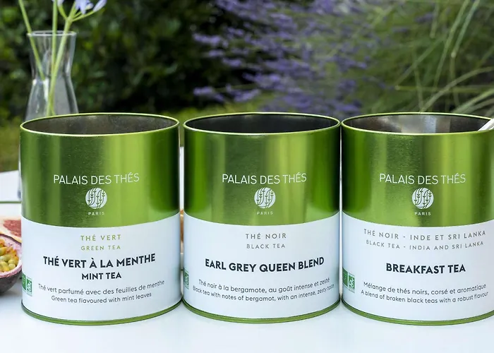 Novotel Centre Hotel Nancy